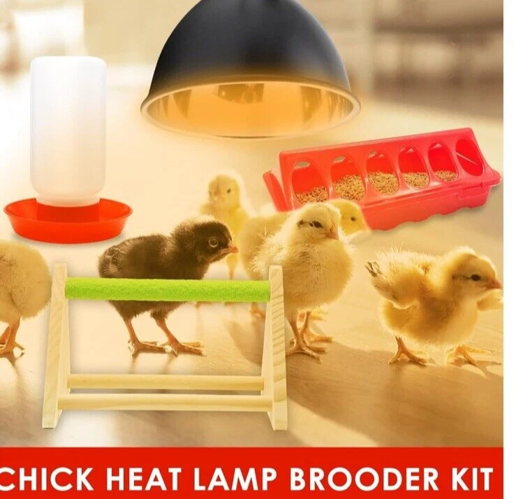 Gifank Chick Feeder & Water Kit Heater - Image 2 of 4