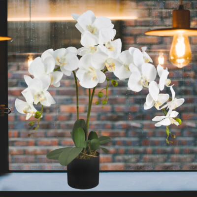 Knstliche Orchidee Kunstpflanze Pflanze Weiss Topf 65cm Decovego | eBay.de