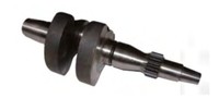 Baum Motor Standard Diesel Ruggerini RF120 012.28 130117A