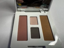 Clinique Powder Bronzer sunkissed Color Surge Eye Shadow pink slate Blusher new