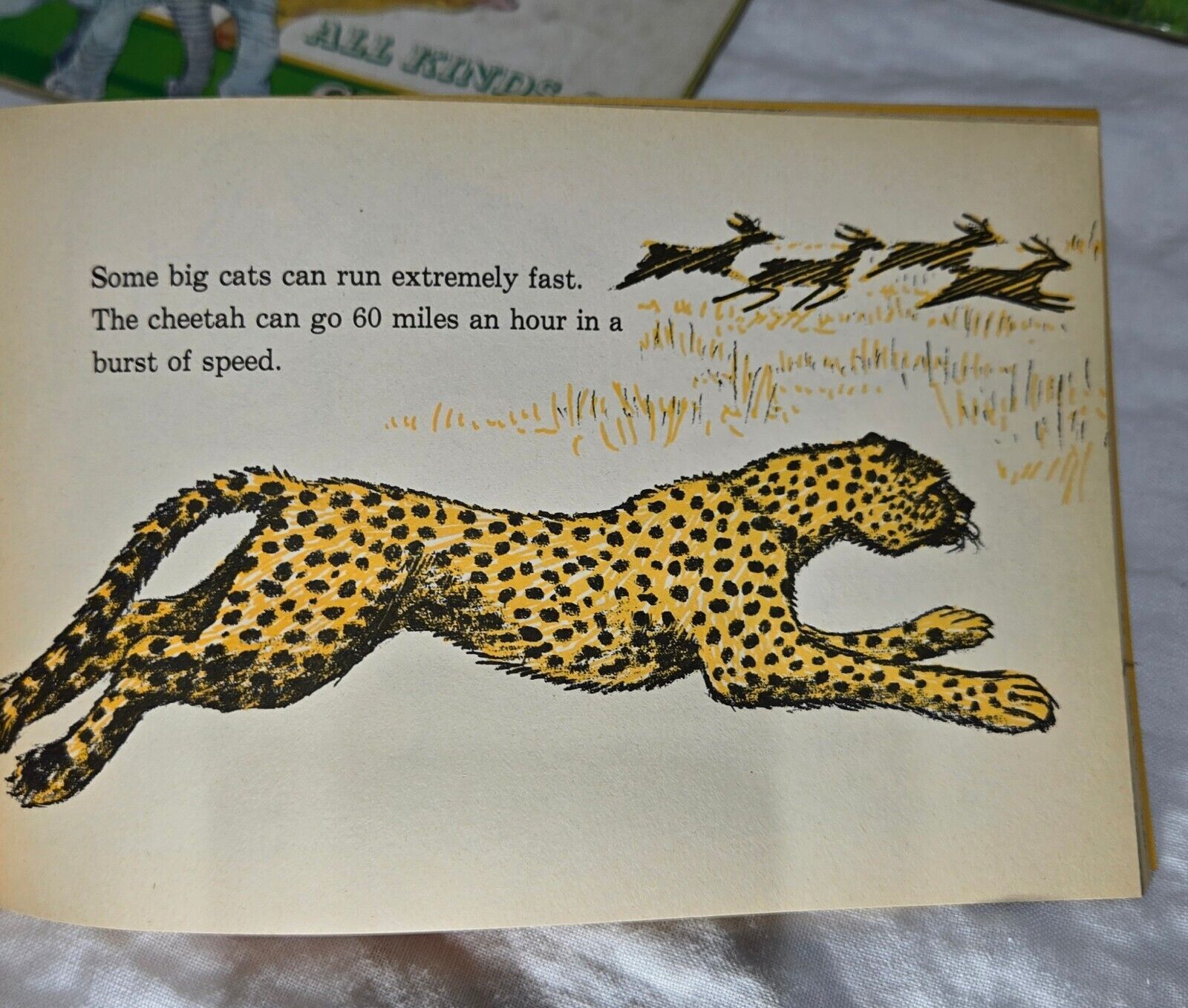 Picture 10 of 24