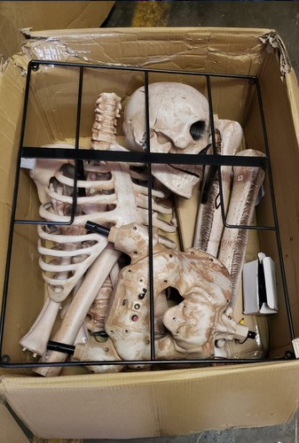 NOB Seasonal Visions 8ft Towering Skeleton DISTRESSED BOX - Picture 2 of 8