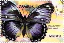 Zambia #Mi1111 MNH 2000 Butterflies Palla Butterfly 864c