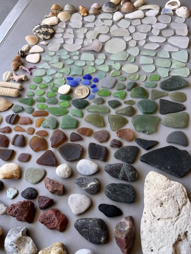 Beachcomber April 8, 2025 Sea Glass Seashells & Beach Treasures from Puerto Rico - Picture 19 of 23