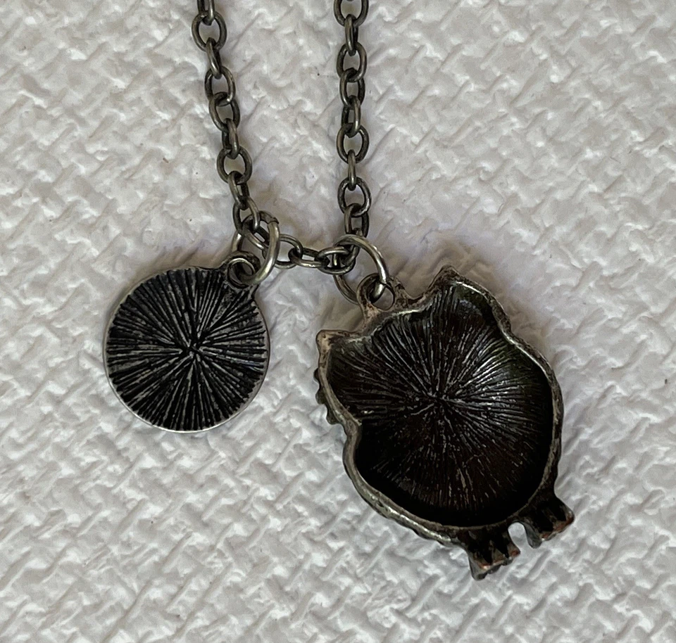 Collar Colgante Búho Ojos Estrás Azul, Claire's Firmado Big Sis Charm Foto 3 de 4