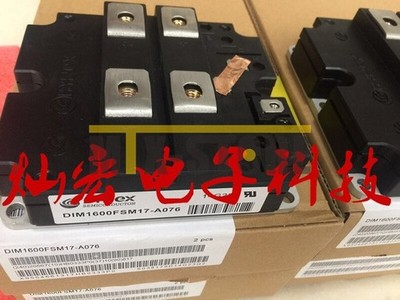 1PCS New Module   DIM1600FSM17-A076 DIM1600FSM17A076 Quality Assurance 100% #nm