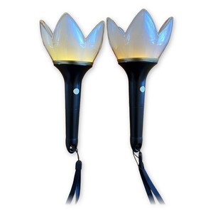 Bigbang Lightstick | eBay