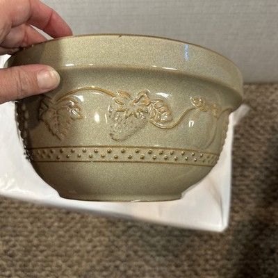 Tan Stone Ware Bowl With Grape Bone Design