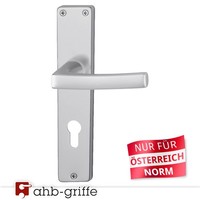 Hoppe TüRgriff Dubayy Langschild Alu Natur Pz Ö-Norm TüRdrüCker TüRbeschlag