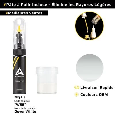 Peinture de retouche pour Mg Hs Code: WSB Dover White - Photo 1/4
