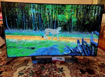 美品！LG OLED TV 3D有機ELテレビ 55EG9100