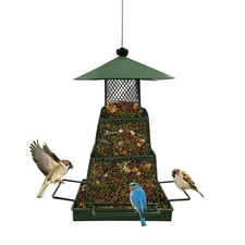 Green Metal Bird Feeder Hanging Wild Feeders for Outside Squirrel Proof