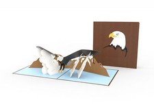 Bald Eagle Laser Cut Pop Up Greeting Card Any Occasion Love Kate's Card Moments