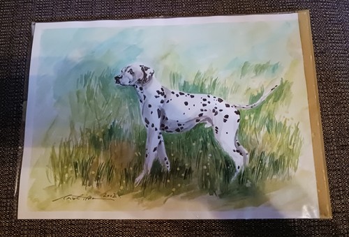 Dalmatian Dalmation Painting by Campean 2002 Romania Kennel AKC Dog Puppy Brasov - Picture 2 of 8