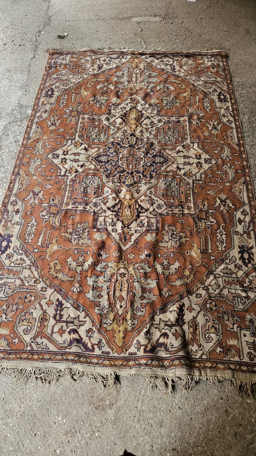 Foto 1 di 8
