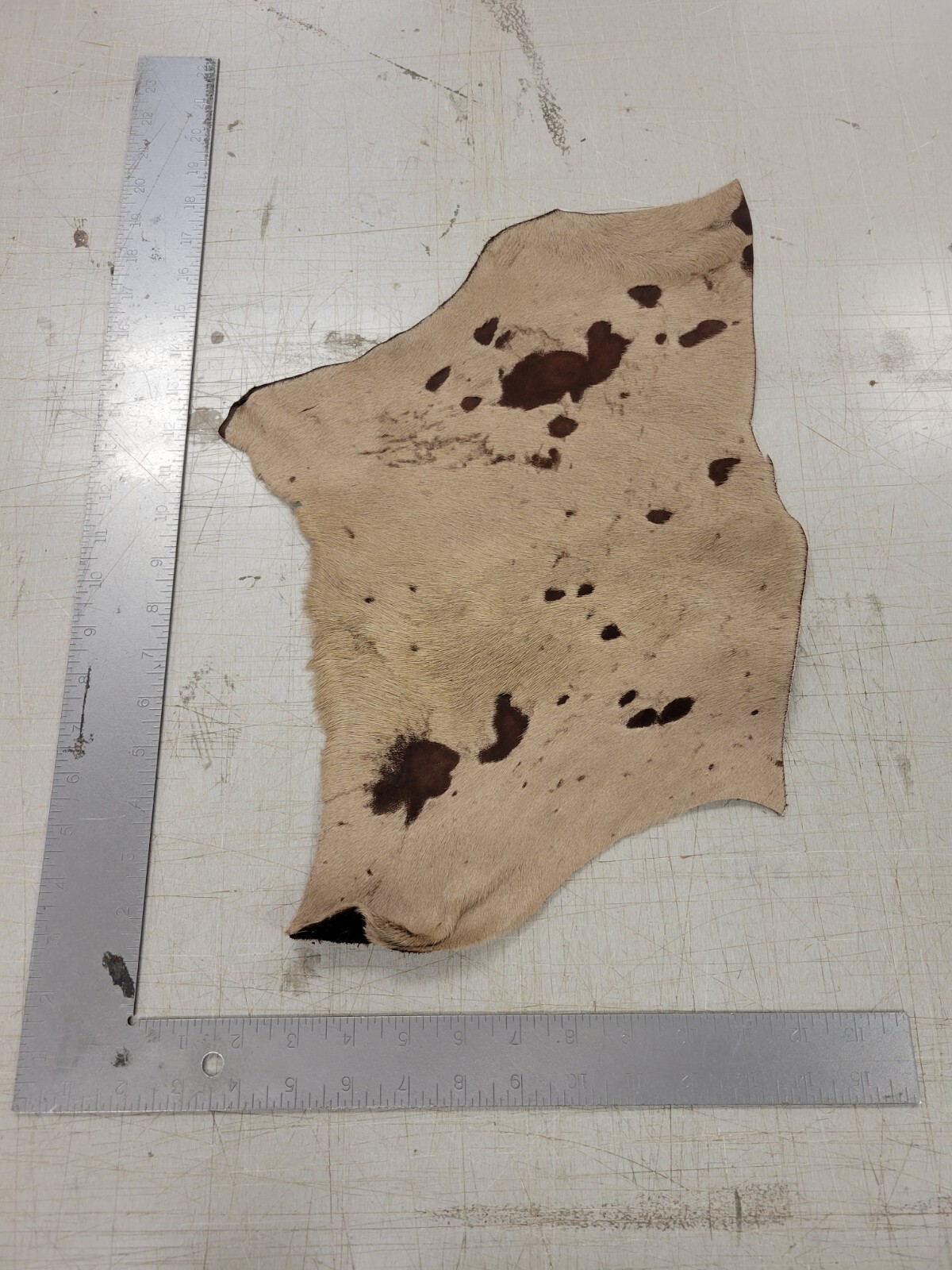 3 lbs. Bulk Scrap Leather Hair On Hide, Cowhide Remnants, Premium Leather