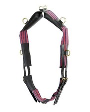 Ceinture D'Entraînement Pour Cheval En Toile Et Cuir Avec Sangle