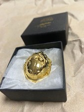 JoJo's Bizarre Adventure ULTRA-VIOLENCE Collaboration Giorno Ladybug Brooch