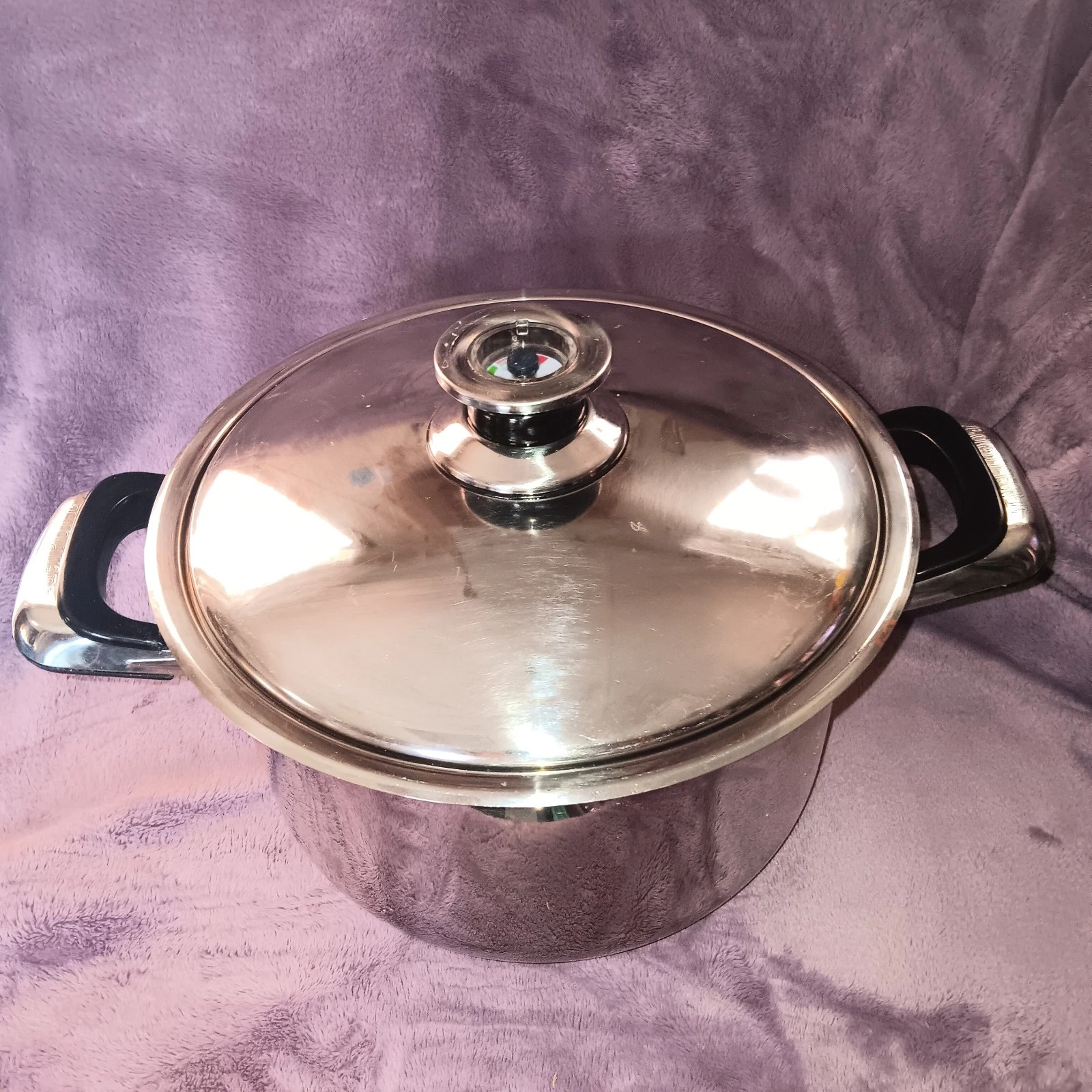 EdenPure Surgical Grade Stainless Steel, W/temp Gauge T304 " Lifetime Sauce Pot