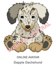 Webkinz Classic Dapple Dachshund Code Only  messaged 