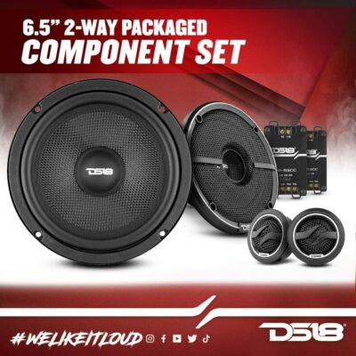 DS18 ZXI-62C 6.5