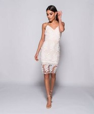 Nude Lace Detail Bodycon Dress Fashion Designer Holiday Occasion