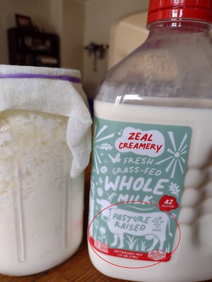 Healthy kefir grains from organic pasteurized milk, 1 TBSP, buy 2 get 1 free.