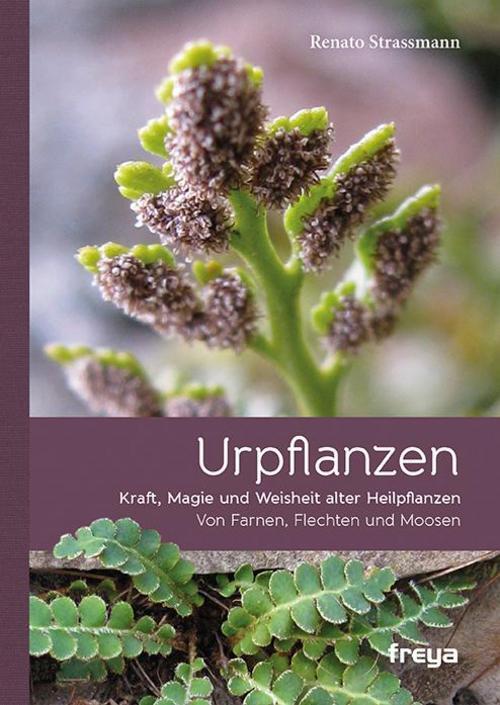Urpflanzen Renato Strassmann