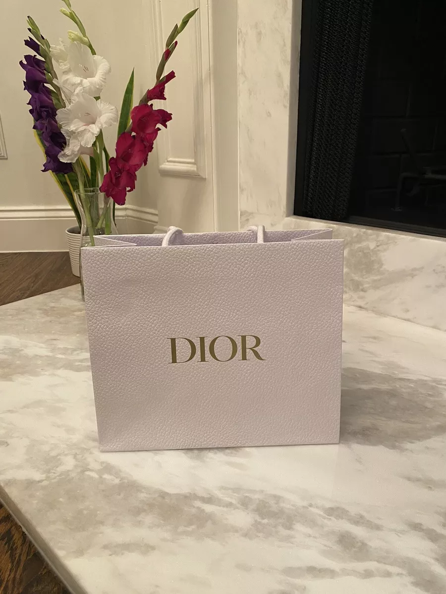 Authentic Dior Textured Pebbled Paper Shopping Medium Gift Bag NEW white gold