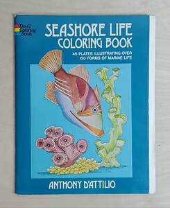 Seashore Marine Life Coloring Book Fish Lover Collectible Educational 8x11 inch