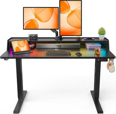 Standing Desk with LED Strip, 48  X24  Electric Height Adjustable RGB Gaming Des