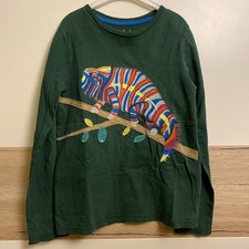 Tolles Langarm-Shirt von Mini Boden Gr. 152 - Grün mit Chamäleon Applikationen