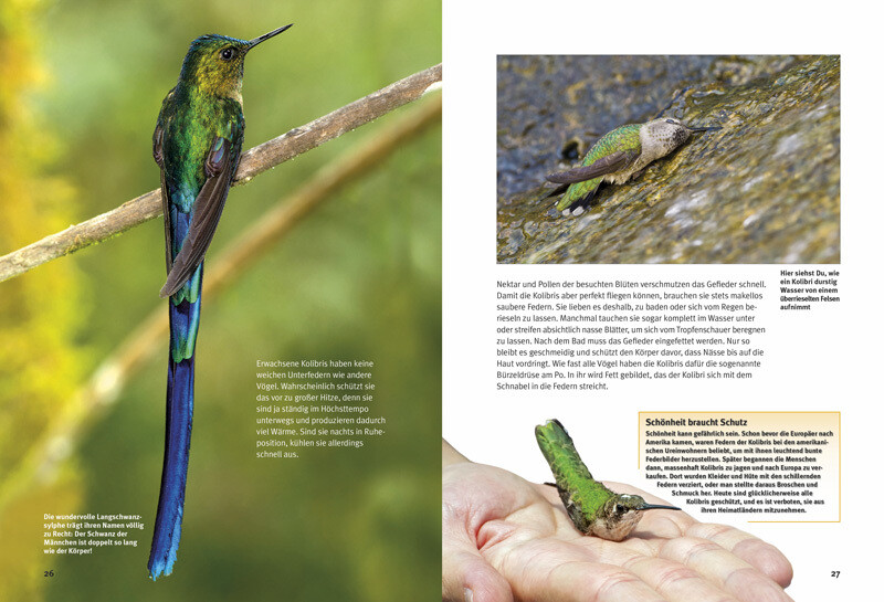 Thumbnail - Leonie Proscurcin Entdecke Die Kolibris 9783866592728