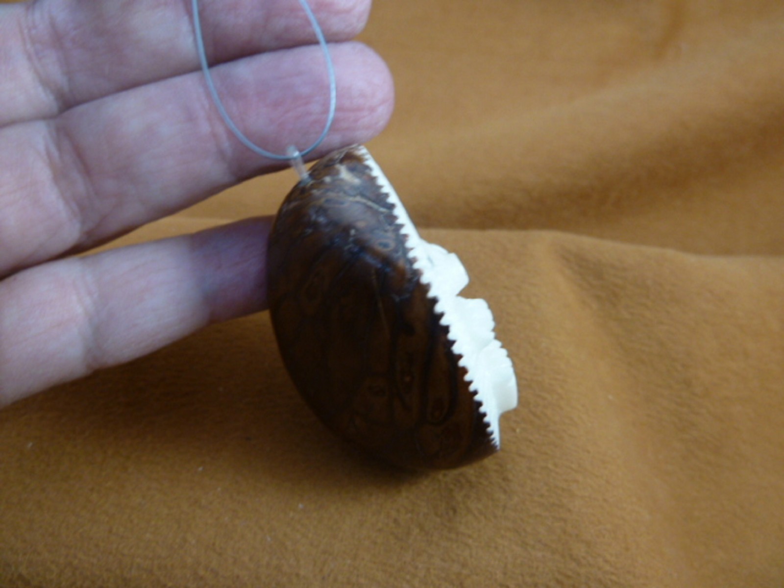 (TNE-HED-636i) Hedgehog hanging on string TAGUA NUT figurine hedgehogs