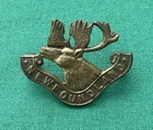 WW1 The 1st Newfoundland Regiment ~ 100% Genuine Commonwealth Military Cap Badge