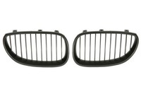 Blic 6502-07-0066991KP KüHlergrill Schwarz FüR BMW Vorne