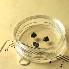 3 Splitter Meteorit Jiddat al Harasis 730 - Chondrit aus Oman - zusammen 0,2g