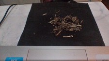 Owl Pellet Bones, New and freshly disected and also cleaned and sanitized.