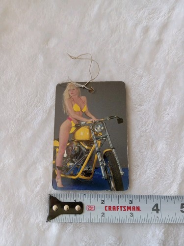 Vintage Easy Riders & WWF & Other Pinup Car Refresher, Lot Of 10 - Picture 22 of 23