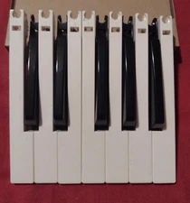 Dave Smith Prophet '08 Synth FATAR Keybed Octave 12 Keys USED 5 Sharp, 7 Natural