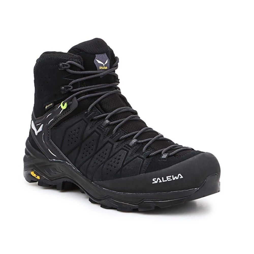 Salewa alp hotsell trainer gtx