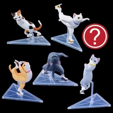 Blind Box Cat Skater Mini Figure Japanese Gashapon Capsule Toy  1 Random Style