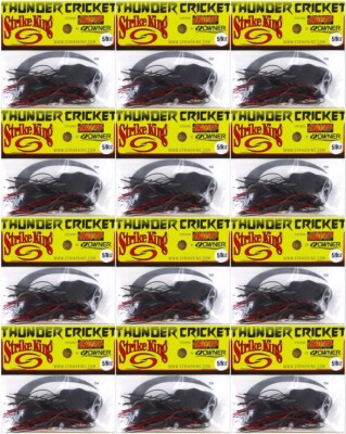 (12) Strike King 5/8 Oz Thunder Cricket Bladed Vibrating Jigs Black Widow New | eBay (12) Strike King 5/8 Oz Thunder Cricket Bladed Vibrating Jigs Black Widow New | eBay