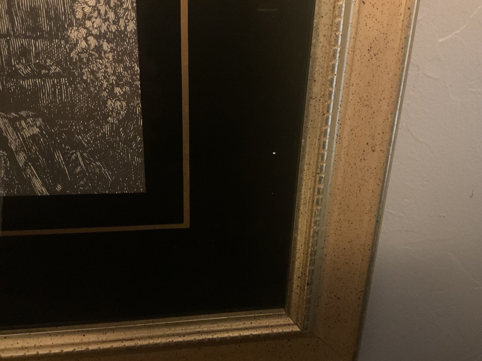 Picture 9 of 15