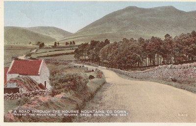 ein irisches Leben eire alte Postkarte Irland Cottage in Co. Down