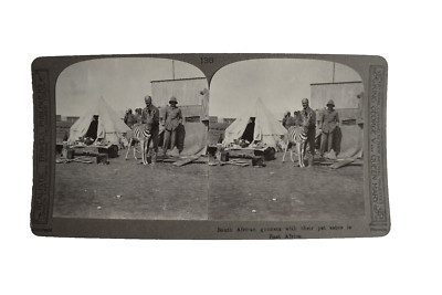 WW1 Stereoview SÜDAFRIKANISCHE SCHÜTZEN MIT HAUSTIER ZEBRA OSTAFRIKA UM 1918 Foto 3D
