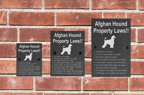 Property Laws Funny Dog Slate Sign Gate House 3 Sizes ALL BREEDS available A-C - Picture 6 of 63