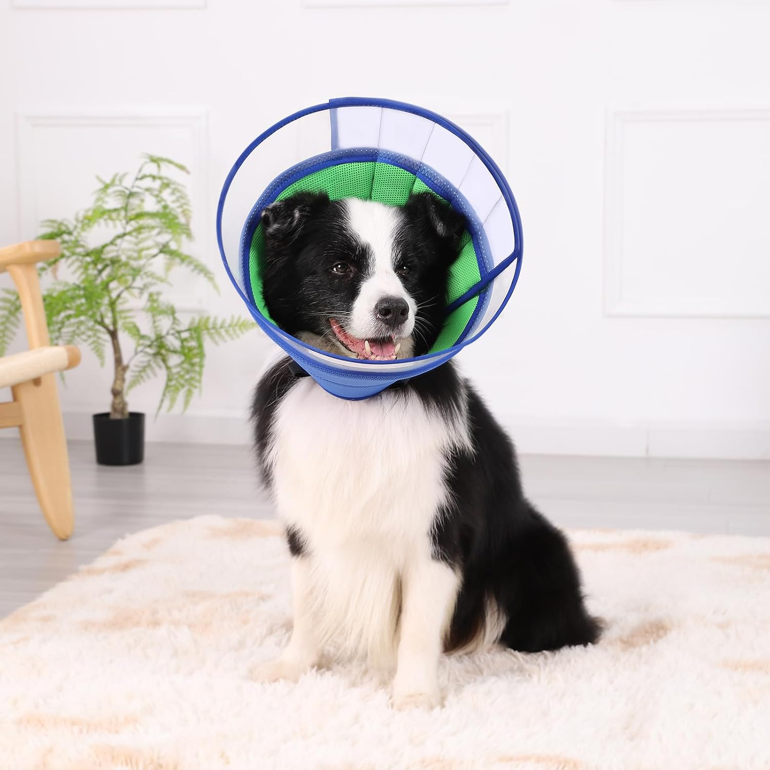 Collare Elisabettiano Morbido Per Cani - Taglia M Rosa - Post Operatorio E Protezione Ferite - Foto 8