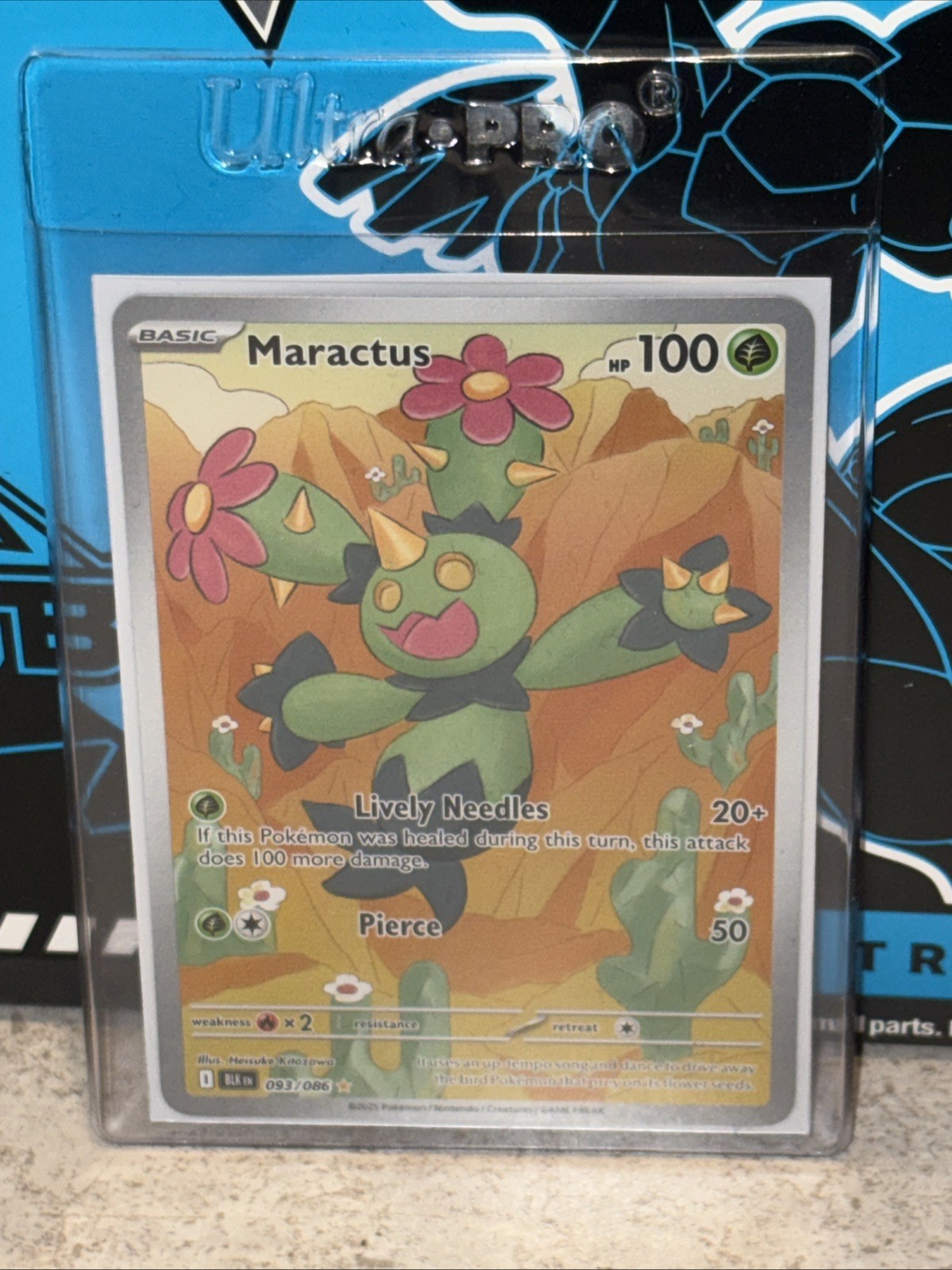 Maractus 093/086 NM Illustration Rare Pokemon Black Bolt White Flare SV10.5