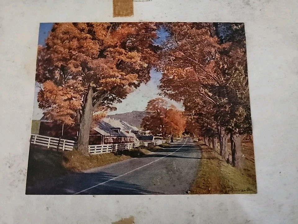 Vintage Joseph K. Straus “Foliage of Fall” WOOD JIGSAW PUZZLE 300+ pc RARE  - Image 3 of 4